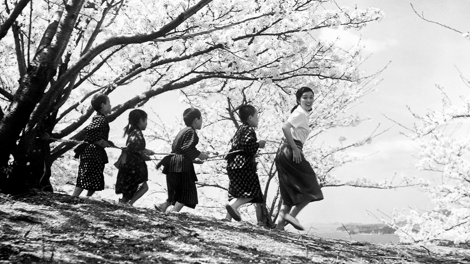 二十四只眼睛(1954)的剧照 二十四只眼睛(1954)的剧照