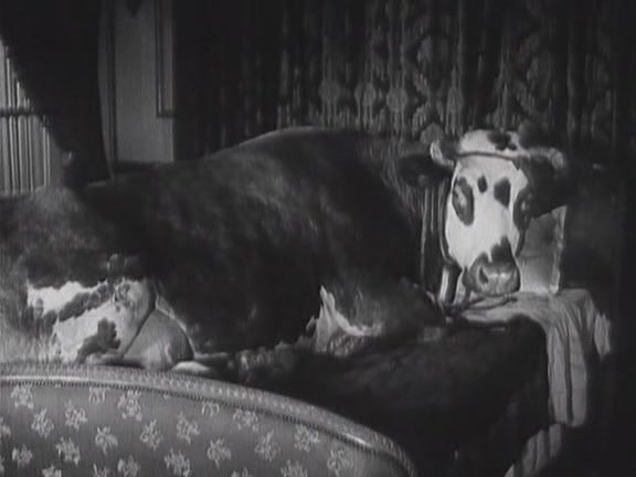 黄金时代(1930)的剧照 黄金时代(1930)的剧照