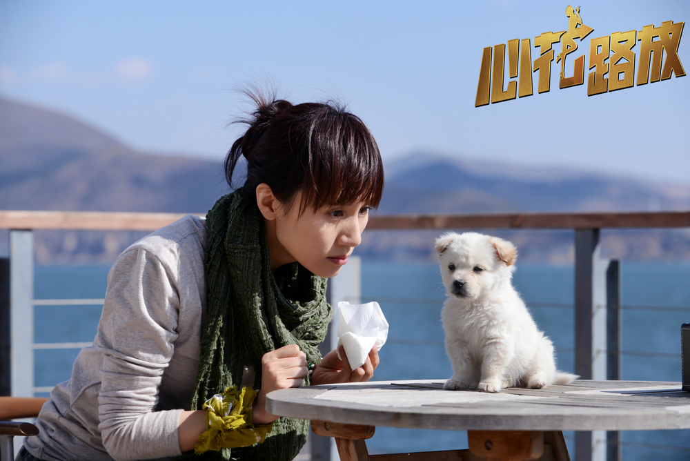 心花路放
(2014)的剧照 心花路放
(2014)的剧照