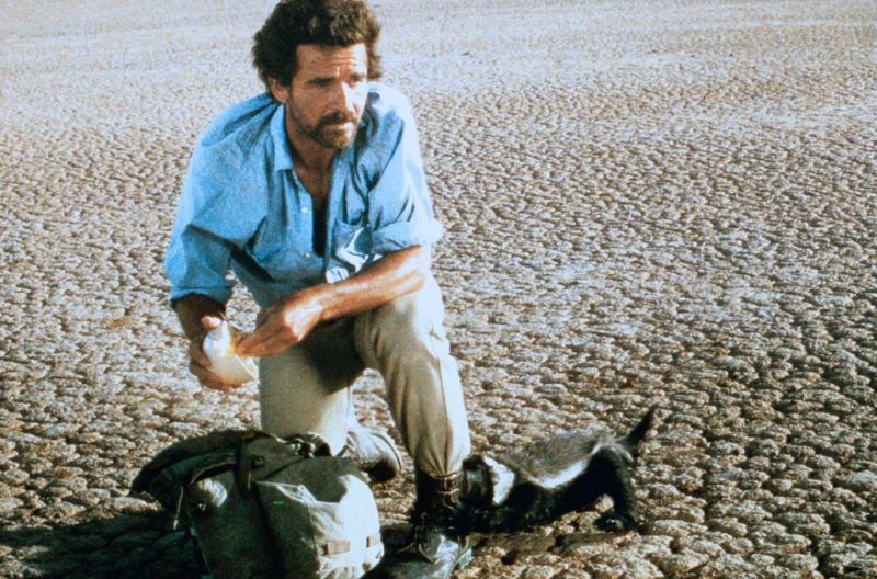 上帝也疯狂2(1989)的剧照 上帝也疯狂2(1989)的剧照