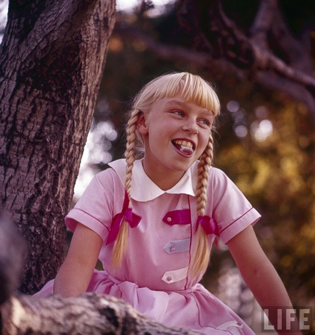 坏种(1956)的剧照 坏种(1956)的剧照