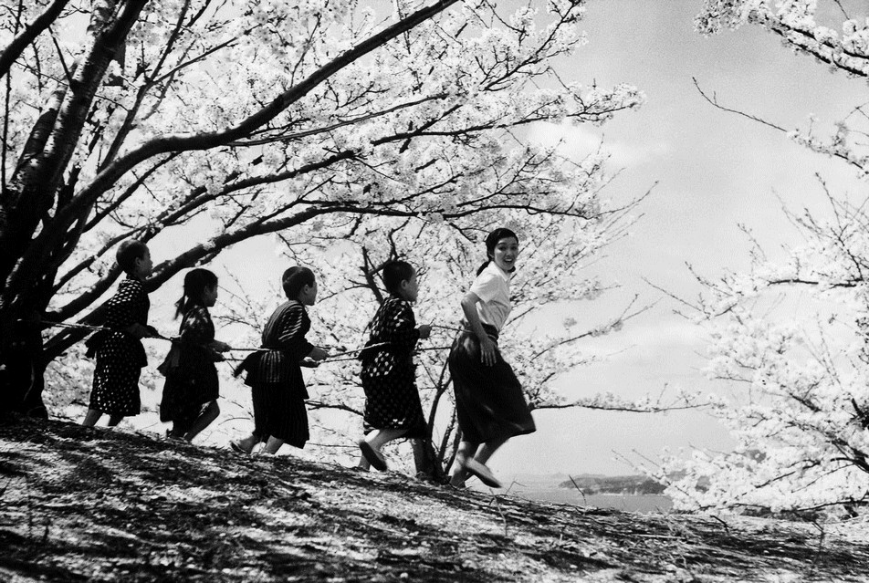 二十四只眼睛(1954)的剧照 二十四只眼睛(1954)的剧照