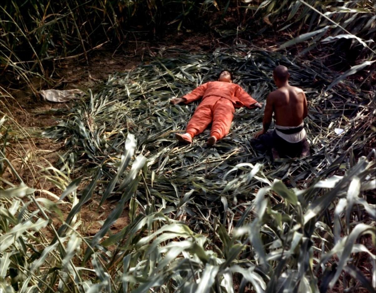 红高粱
(1988)的剧照 红高粱
(1988)的剧照