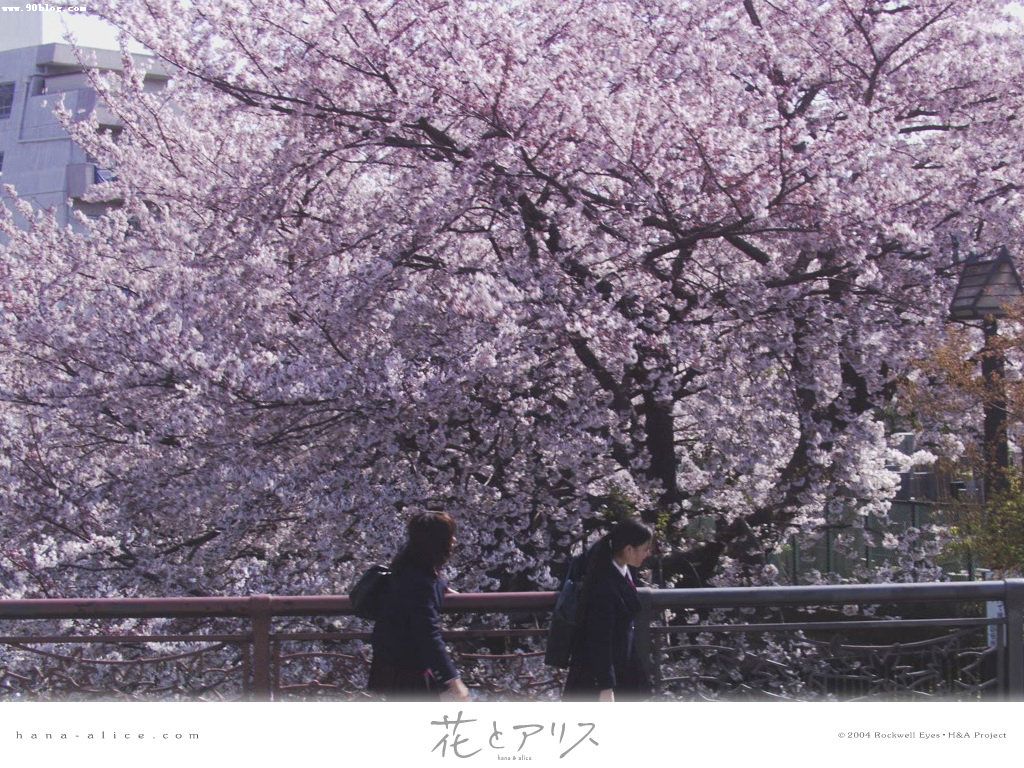 花与爱丽丝(2004)的剧照 花与爱丽丝(2004)的剧照