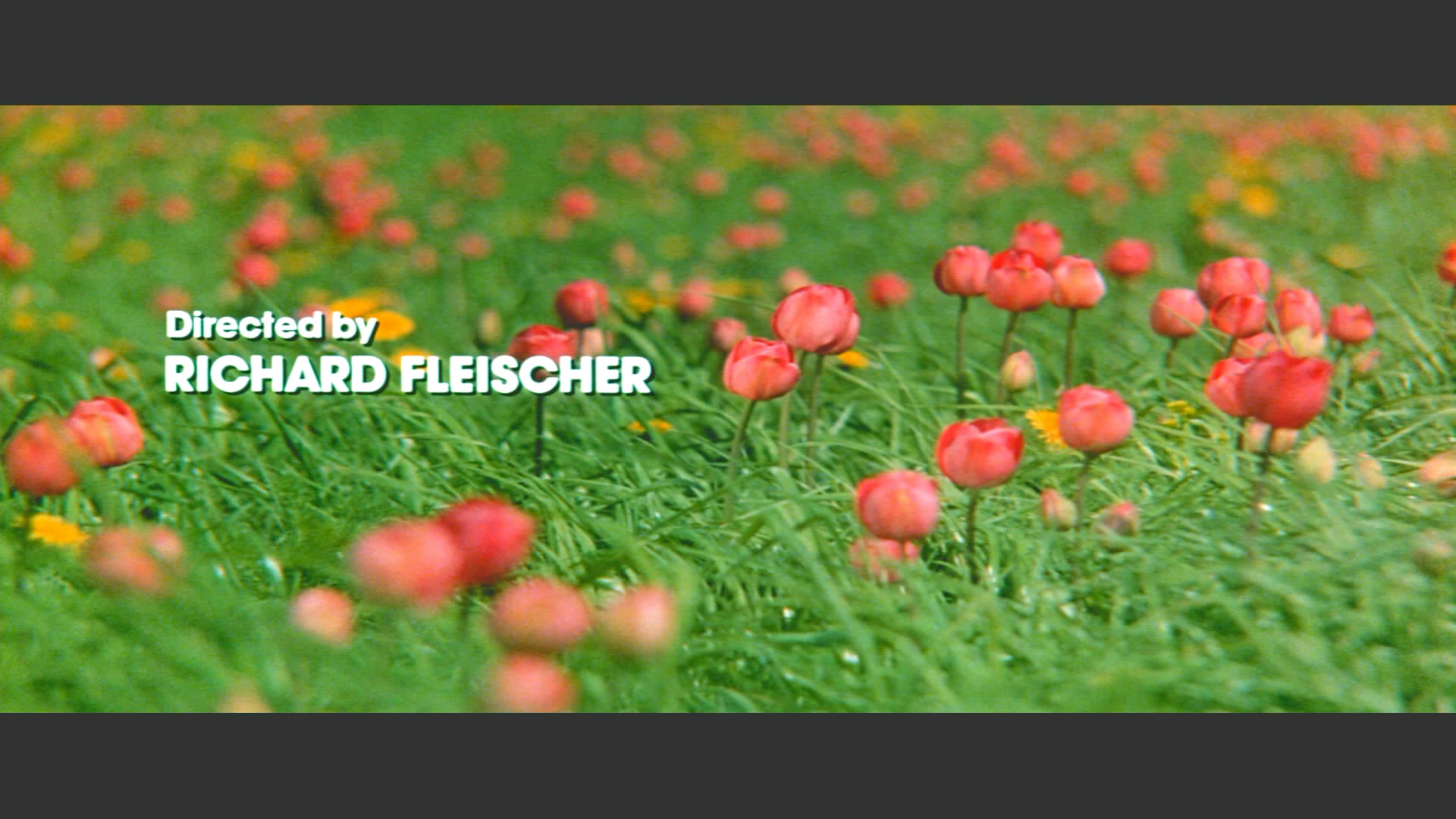 绿色食品(1973)的剧照 绿色食品(1973)的剧照