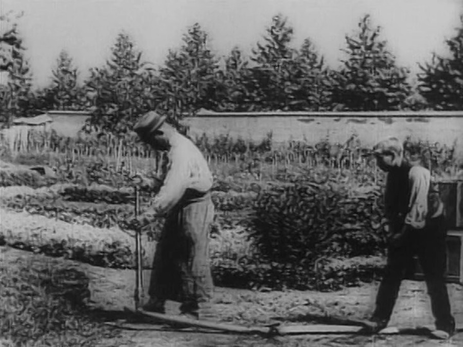 水浇园丁(1895)的剧照 水浇园丁(1895)的剧照