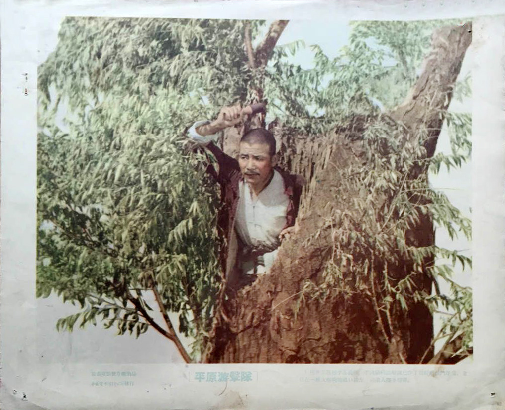 平原游击队
(1955)的剧照 平原游击队
(1955)的剧照