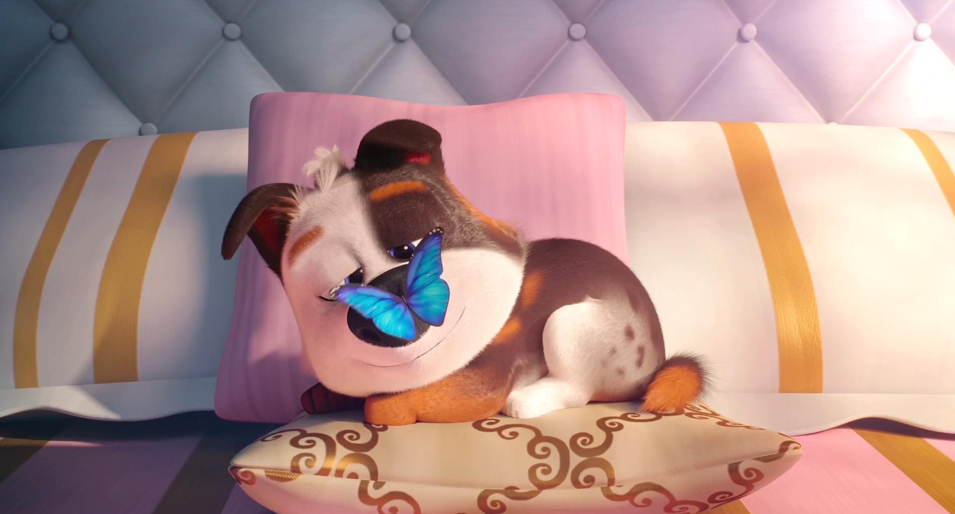 萌宠流浪记(2019)的剧照 萌宠流浪记(2019)的剧照