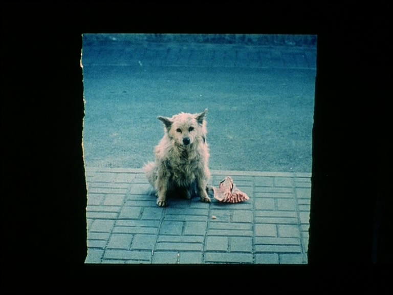 我们俩
(2005)的剧照 我们俩
(2005)的剧照