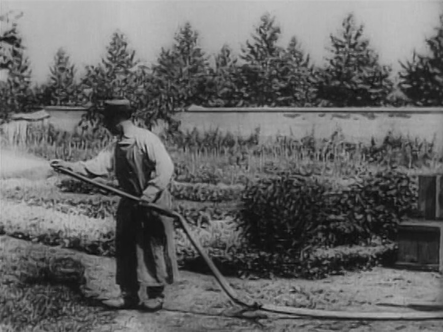 水浇园丁(1895)的剧照 水浇园丁(1895)的剧照