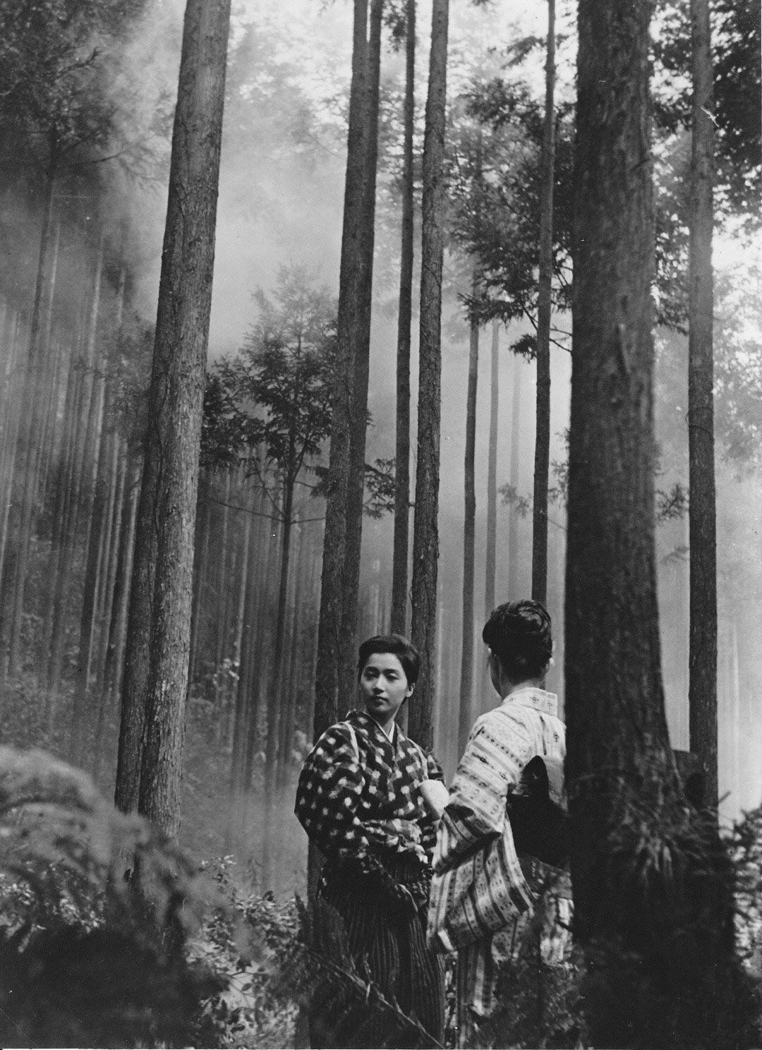 古都
(1963)的剧照 古都
(1963)的剧照