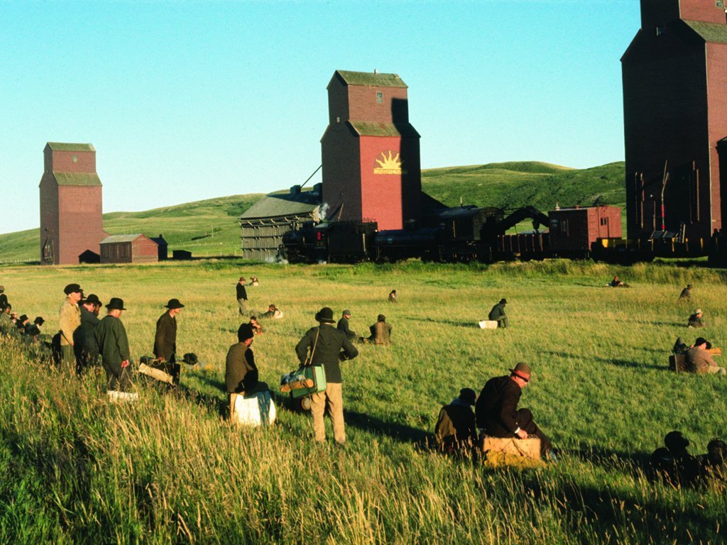 天堂之日(1978)的剧照 天堂之日(1978)的剧照