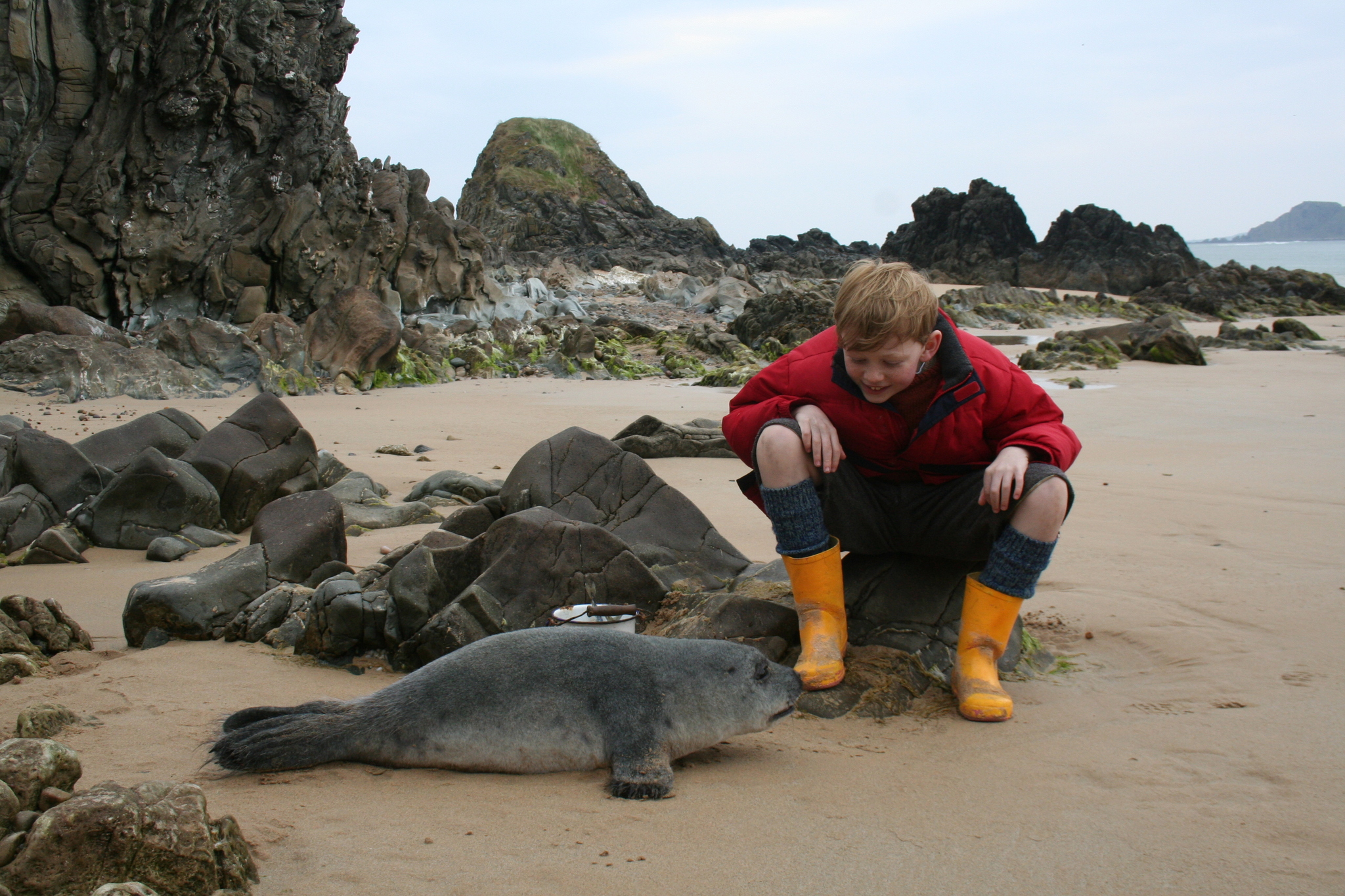 彩虹照耀(2009)的剧照 彩虹照耀(2009)的剧照