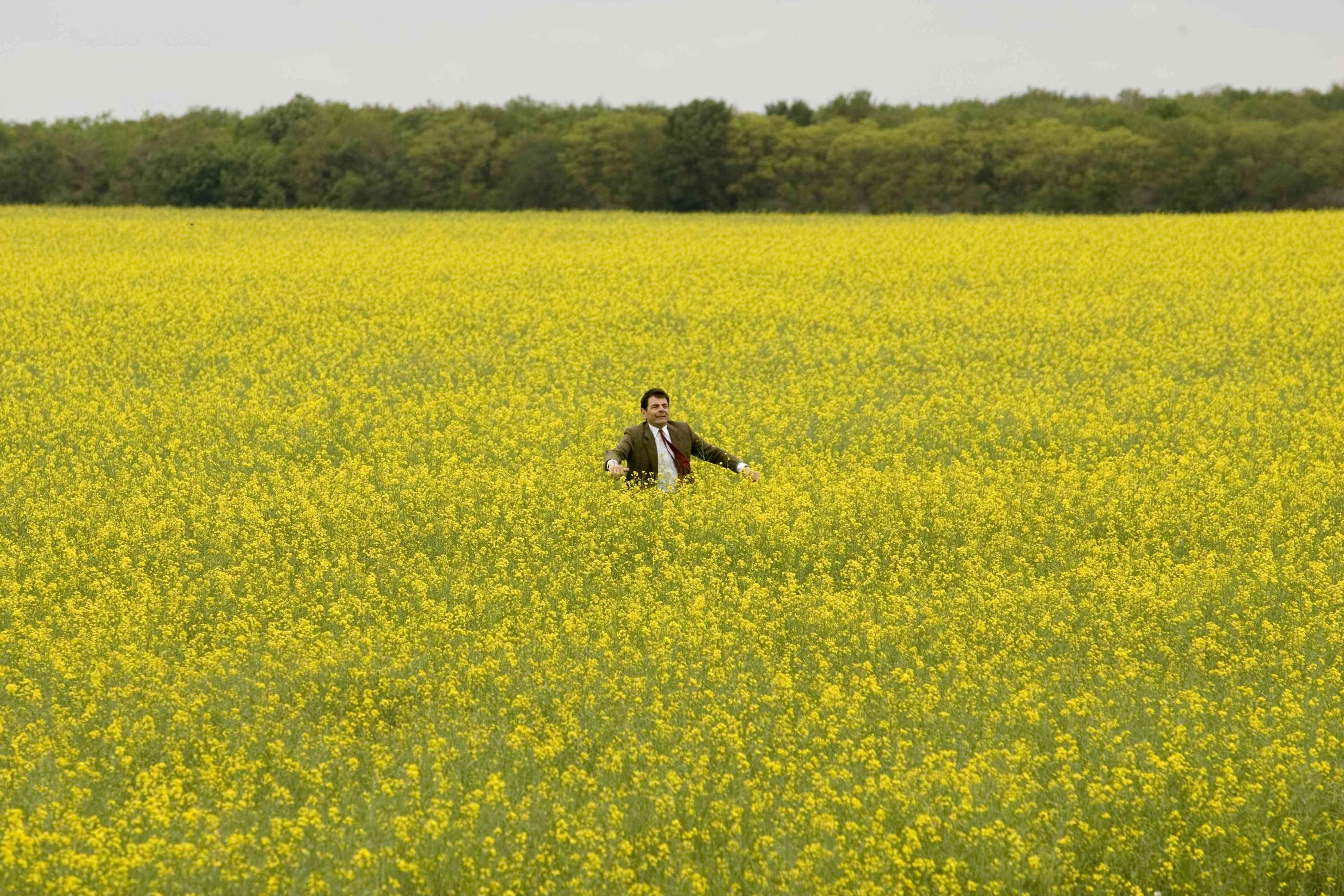 憨豆的黄金周(2007)的剧照 憨豆的黄金周(2007)的剧照