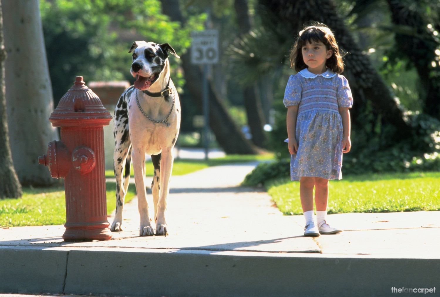 玛蒂尔达(1996)的剧照 玛蒂尔达(1996)的剧照