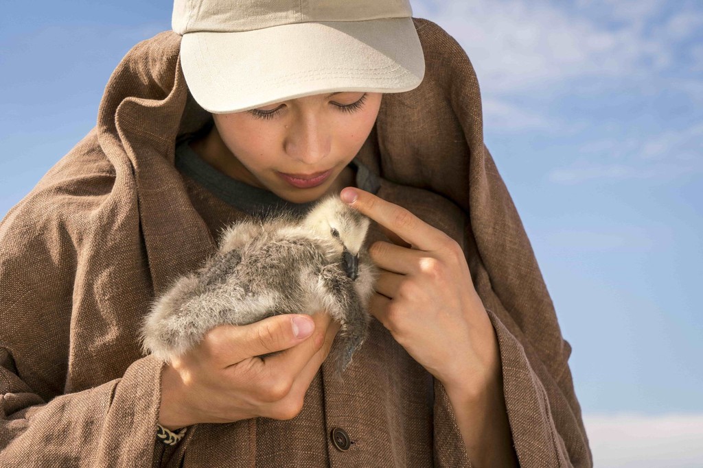 给我翅膀(2019)的剧照 给我翅膀(2019)的剧照