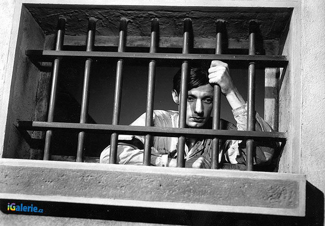 死囚越狱(1956)的剧照 死囚越狱(1956)的剧照