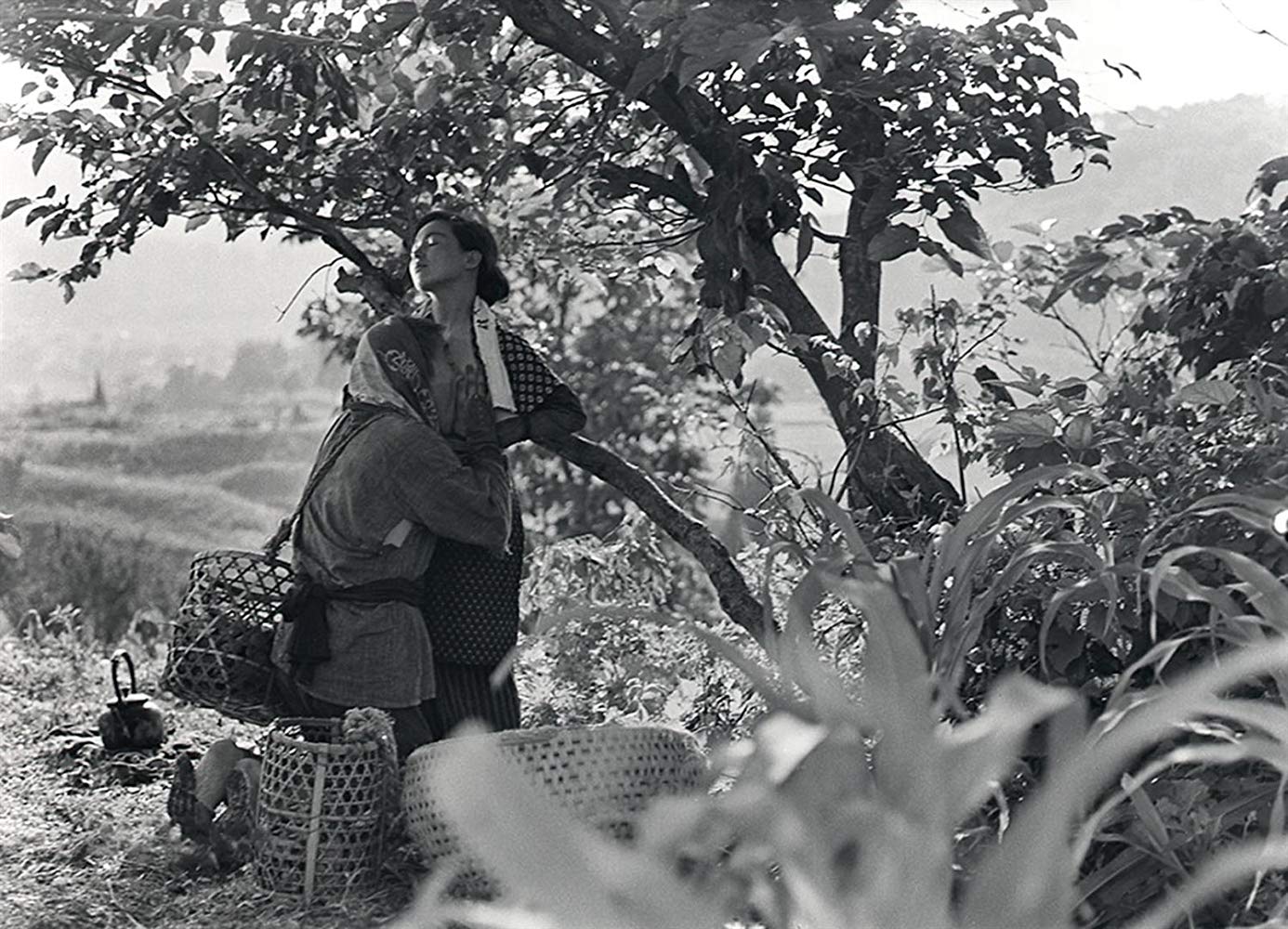 日本昆虫记(1963)的剧照 日本昆虫记(1963)的剧照