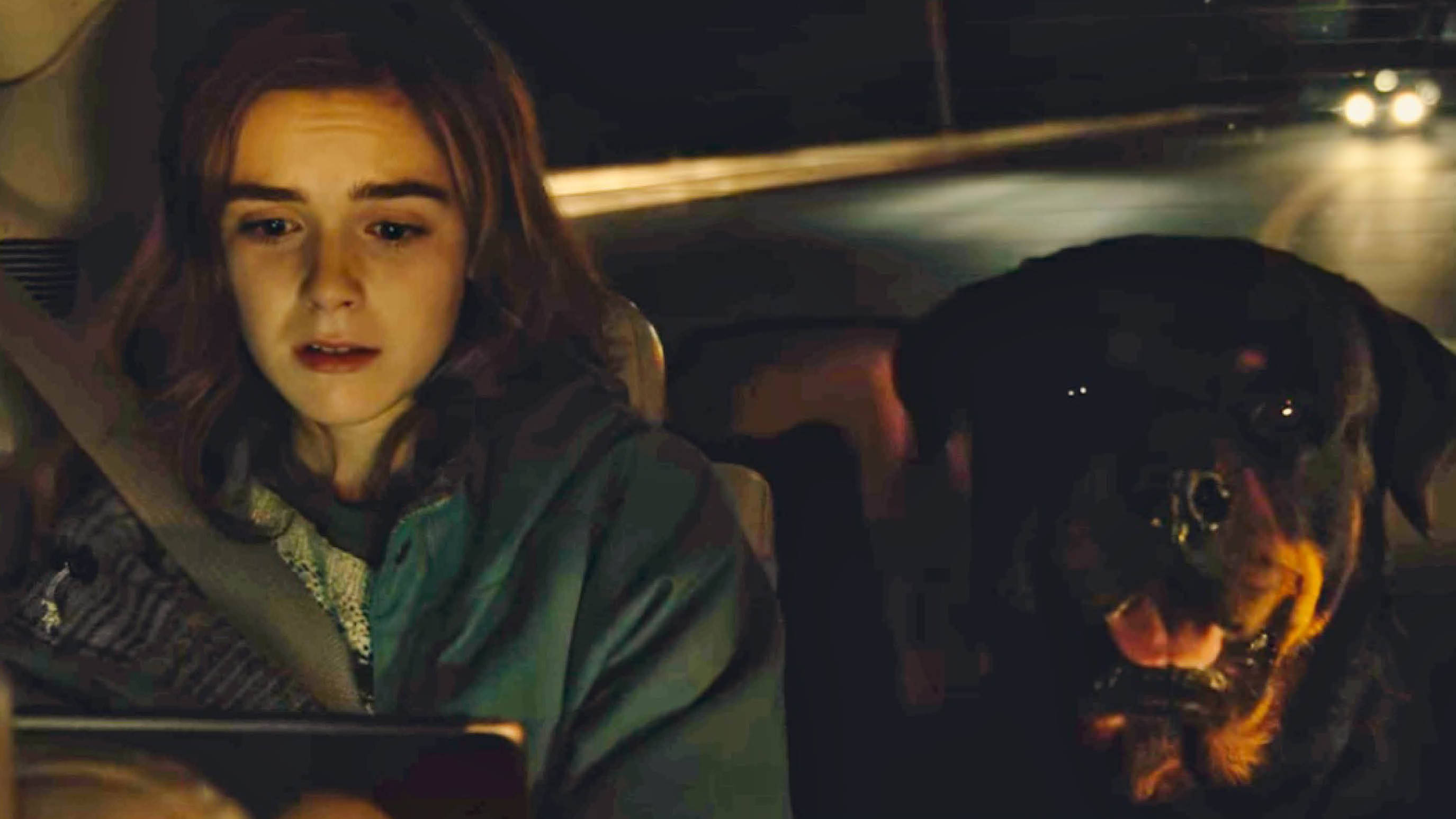 死寂逃亡(2019)的剧照 死寂逃亡(2019)的剧照