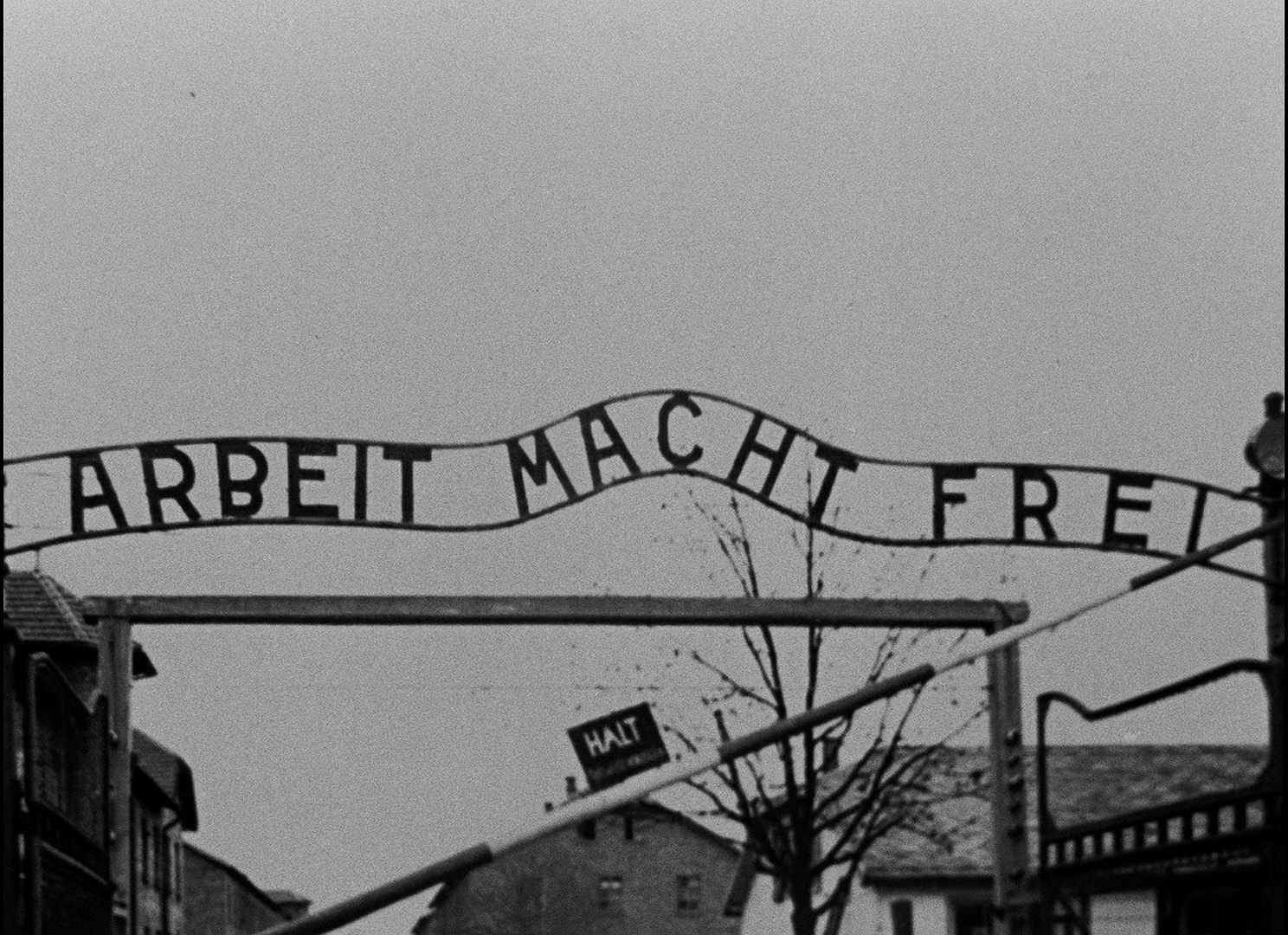 夜与雾(1956)的剧照 夜与雾(1956)的剧照