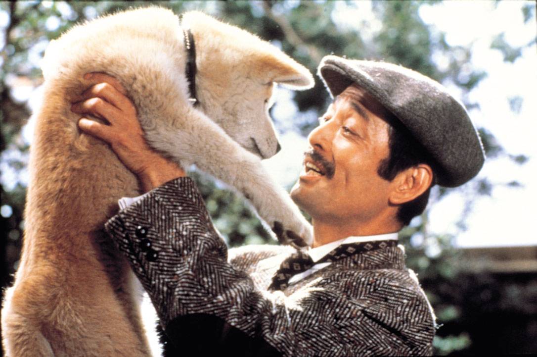 忠犬八公物语(1987)的剧照 忠犬八公物语(1987)的剧照