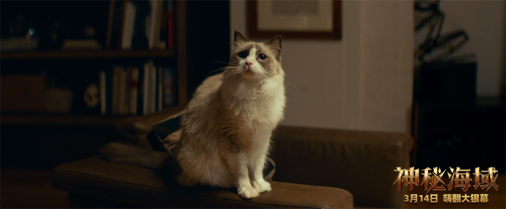 神秘海域(2022)的剧照 神秘海域(2022)的剧照