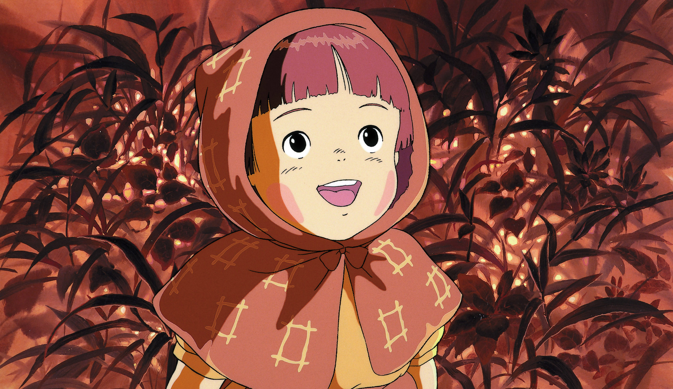 萤火虫之墓(1988)的剧照 萤火虫之墓(1988)的剧照