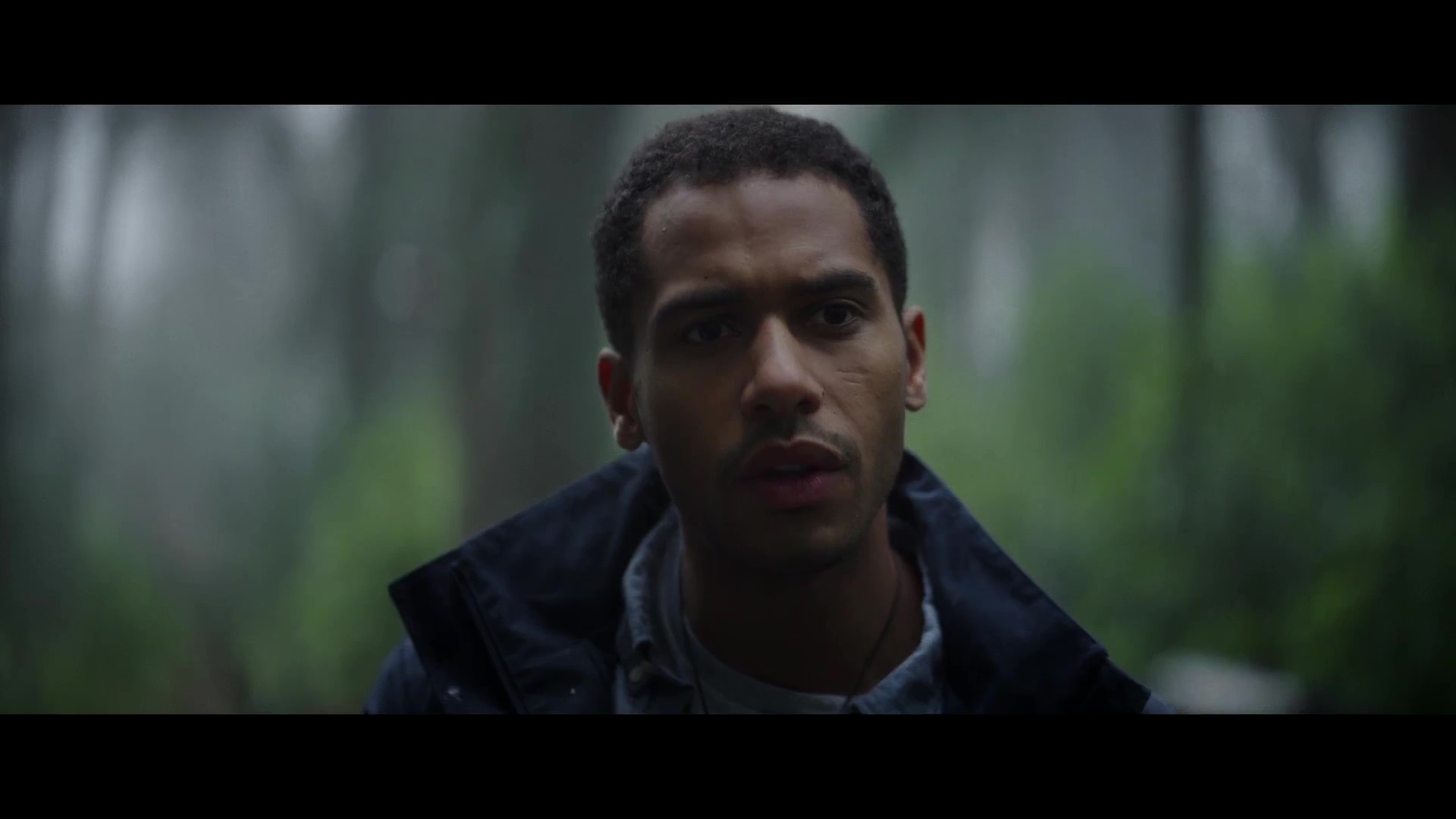 星之彩(2019)的剧照 星之彩(2019)的剧照