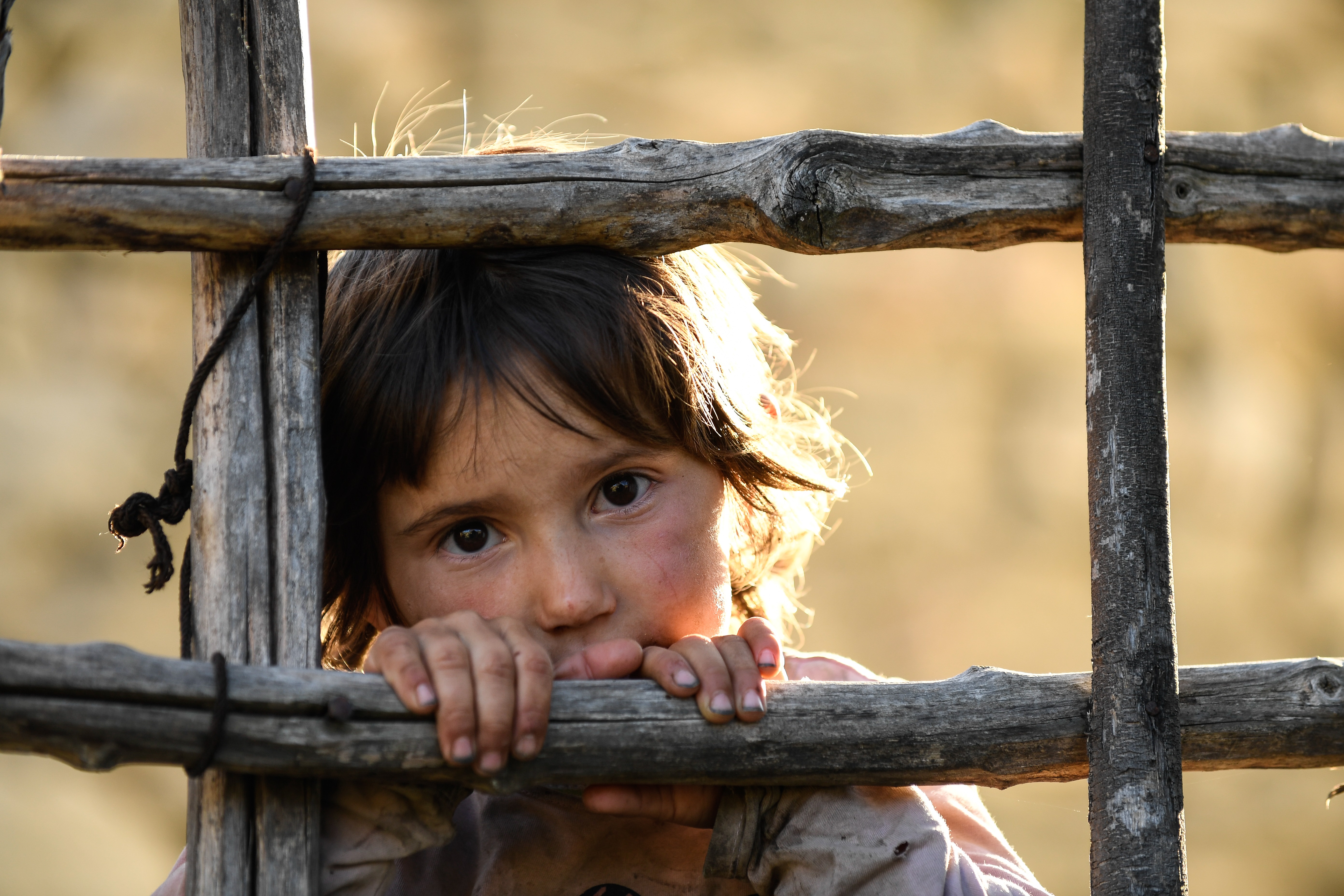 蜂蜜之地(2019)的剧照 蜂蜜之地(2019)的剧照