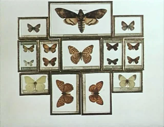 自然史(1967)的剧照 自然史(1967)的剧照