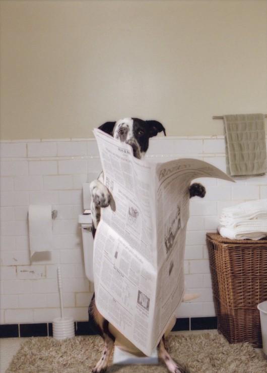 冒牌天神(2003)的剧照 冒牌天神(2003)的剧照