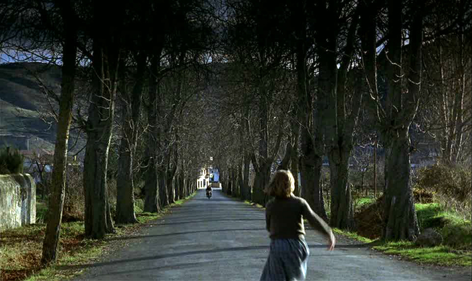 南方(1983)的剧照 南方(1983)的剧照