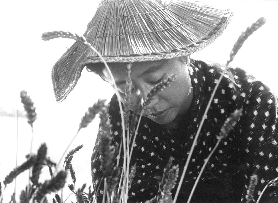 裸岛(1960)的剧照 裸岛(1960)的剧照