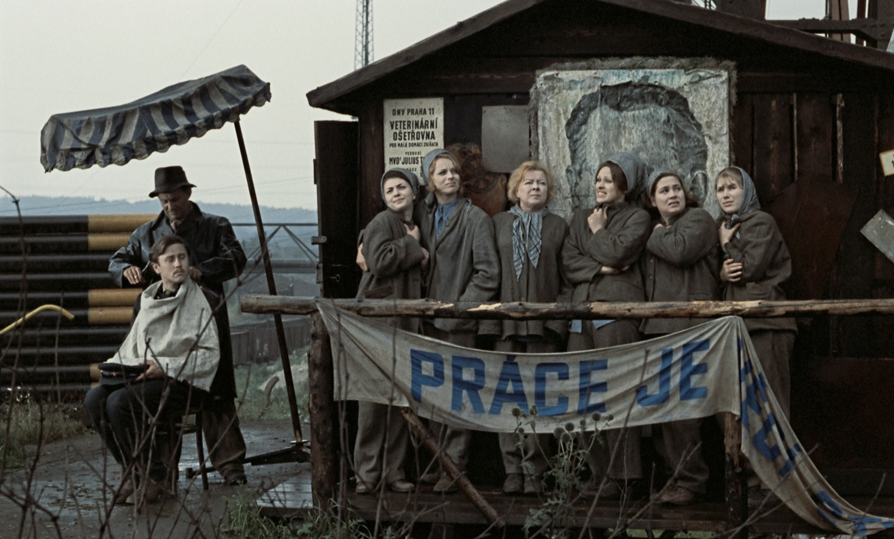 失翼灵雀(1969)的剧照 失翼灵雀(1969)的剧照