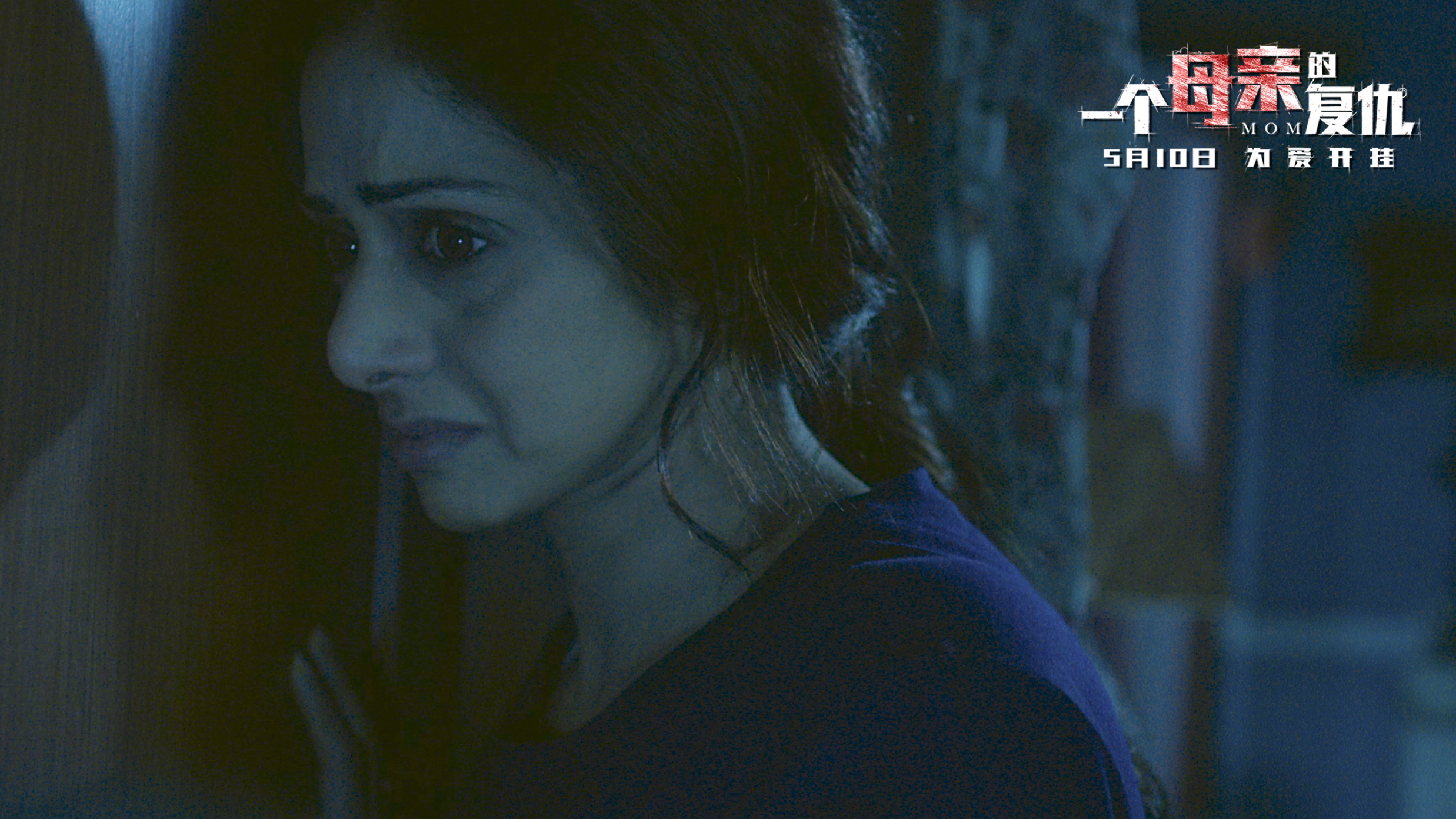 一个母亲的复仇(2017)的剧照 一个母亲的复仇(2017)的剧照