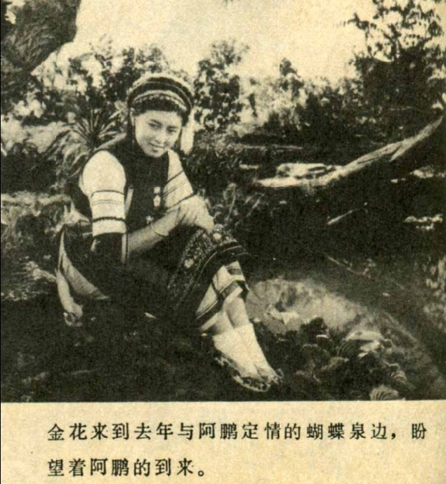 五朵金花
(1959)的剧照 五朵金花
(1959)的剧照