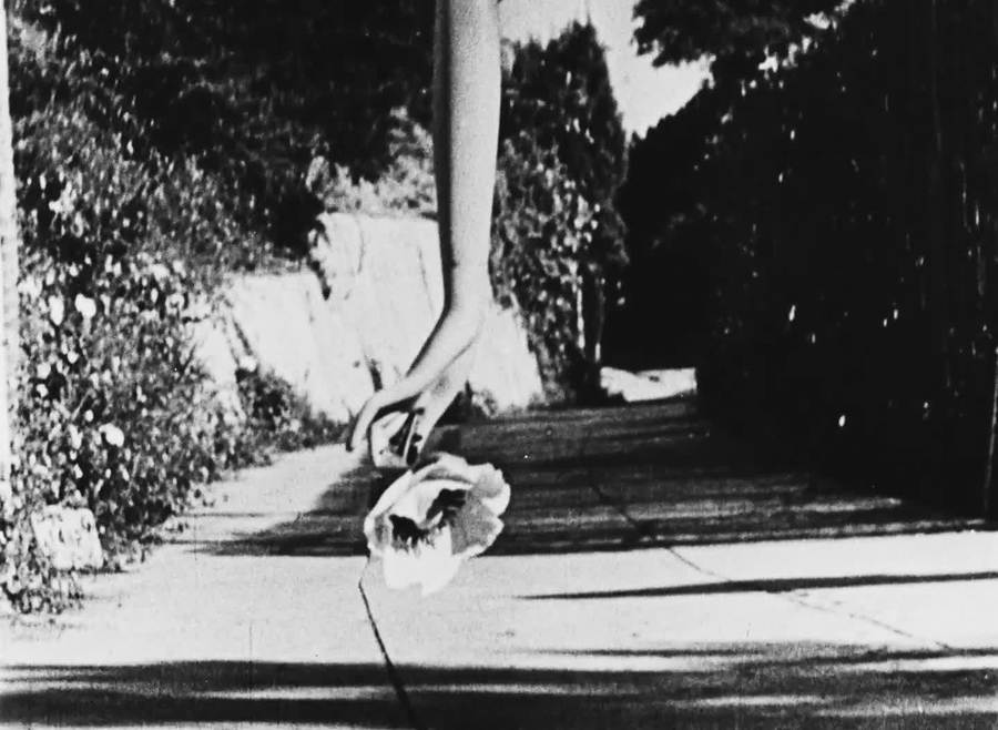 午后的迷惘(1943)的剧照 午后的迷惘(1943)的剧照