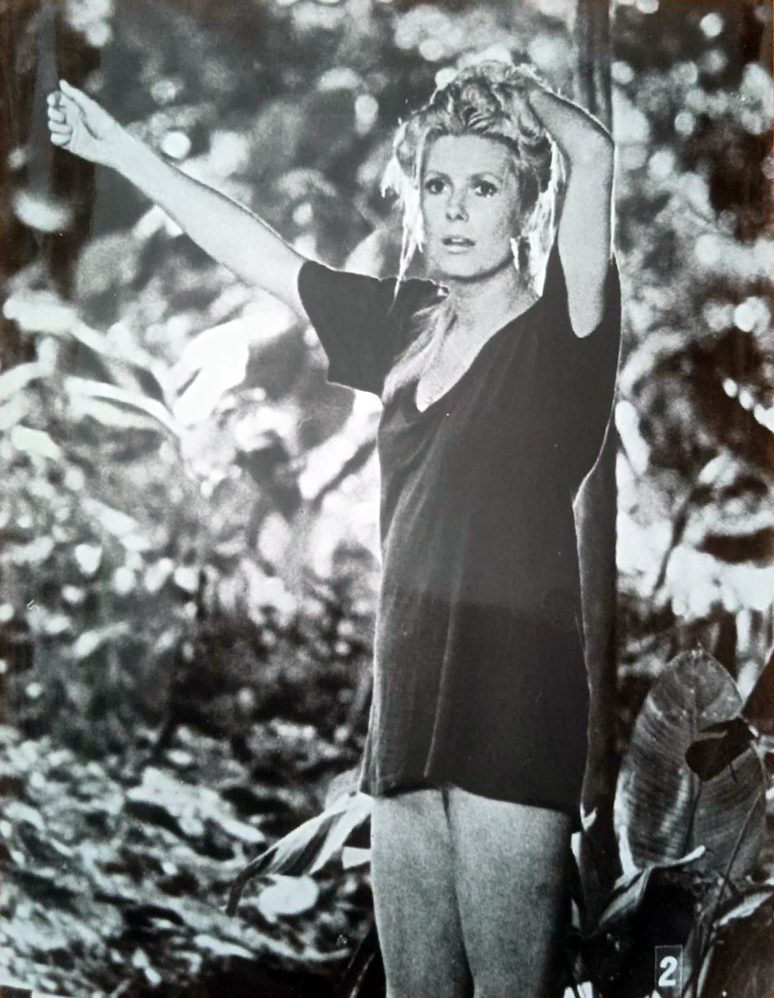 野岛真情(1975)的剧照 野岛真情(1975)的剧照