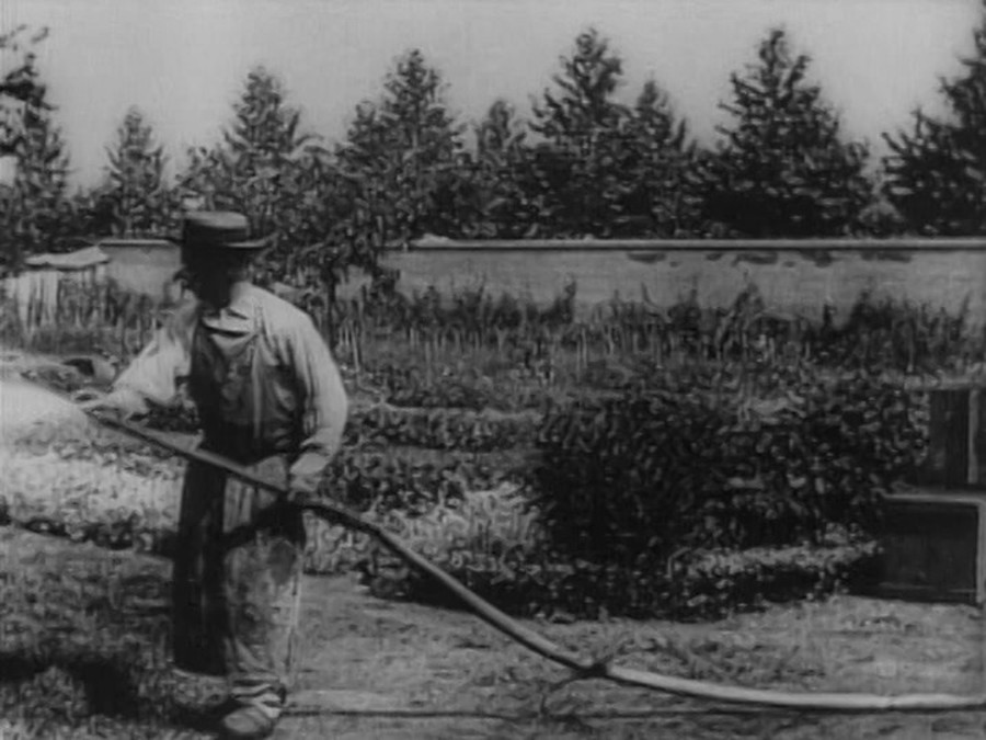 水浇园丁(1895)的剧照 水浇园丁(1895)的剧照