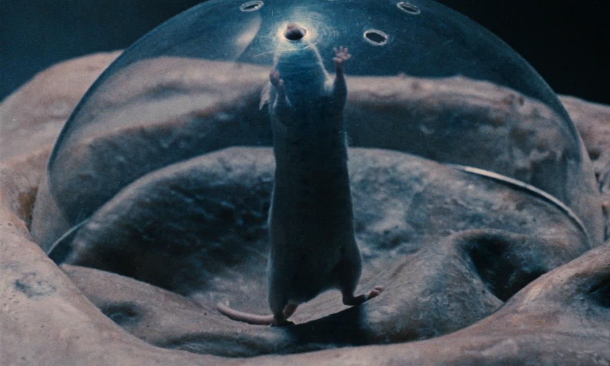 我爱你,我爱你(1968)的剧照 我爱你,我爱你(1968)的剧照