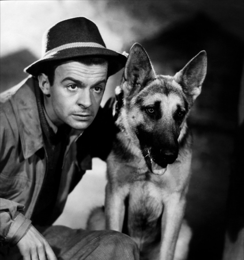 眼线(1962)的剧照 眼线(1962)的剧照