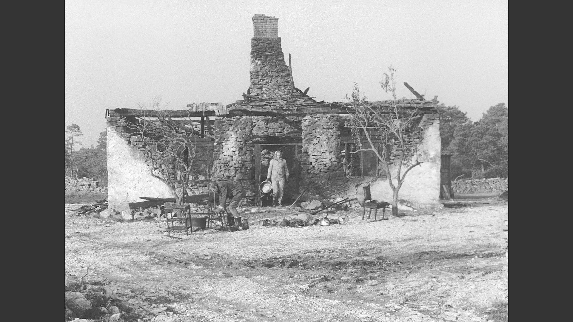 羞耻(1968)的剧照 羞耻(1968)的剧照