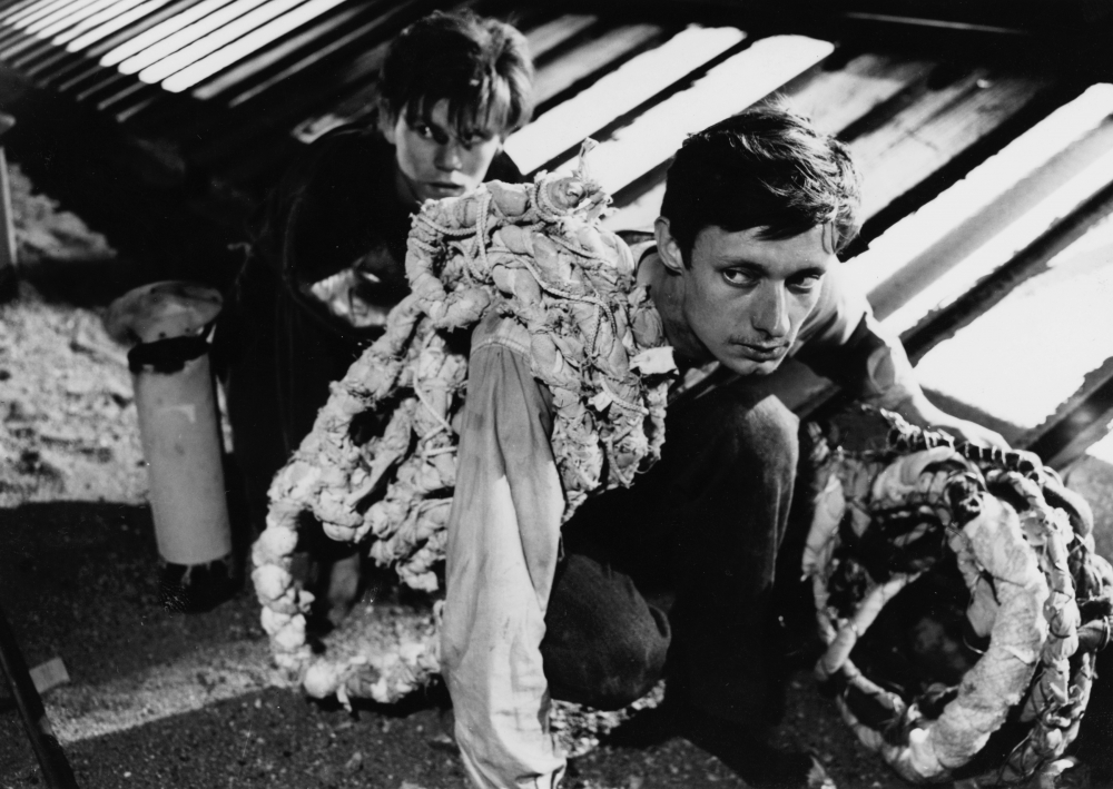 死囚越狱(1956)的剧照 死囚越狱(1956)的剧照