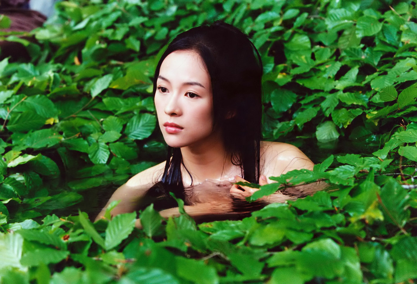 十面埋伏
(2004)的剧照 十面埋伏
(2004)的剧照