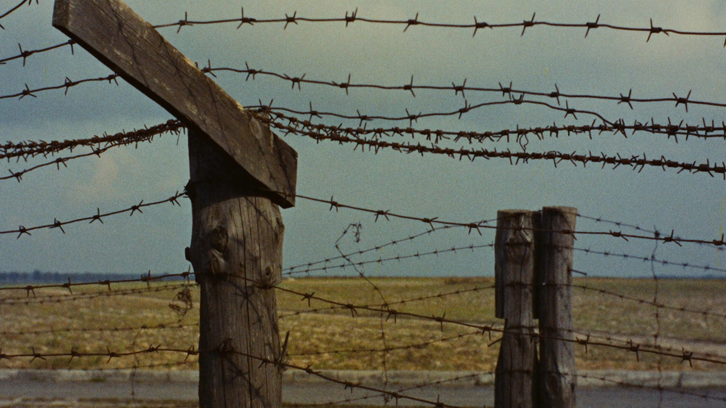 夜与雾(1956)的剧照 夜与雾(1956)的剧照