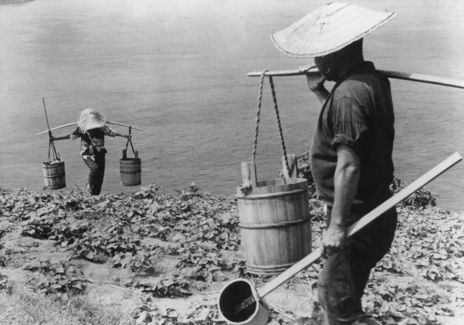 裸岛(1960)的剧照 裸岛(1960)的剧照