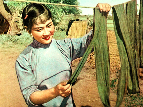 柳堡的故事
(1958)的剧照 柳堡的故事
(1958)的剧照