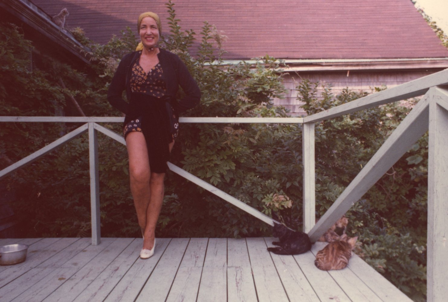 灰色花园(1975)的剧照 灰色花园(1975)的剧照