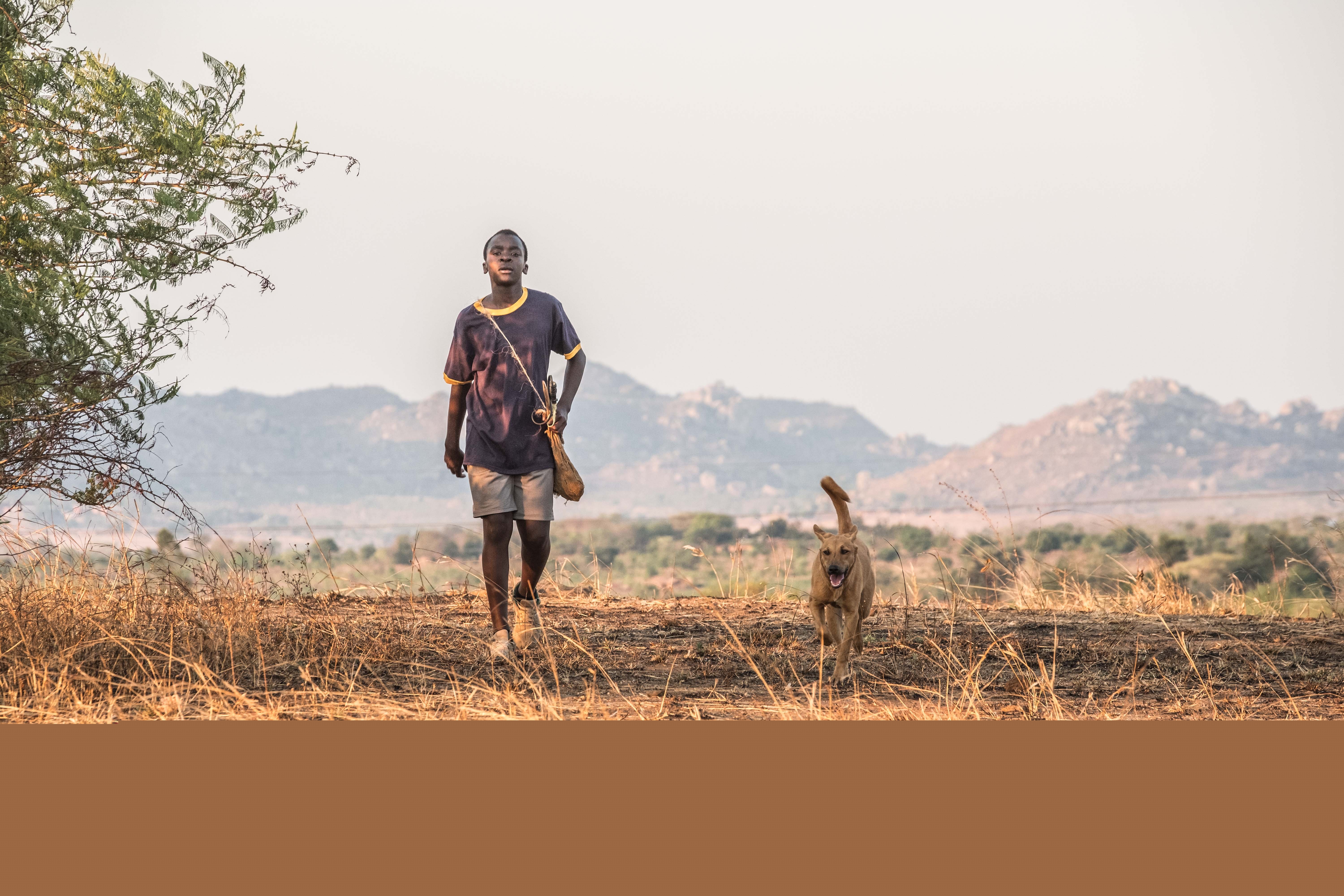 驭风男孩(2019)的剧照 驭风男孩(2019)的剧照