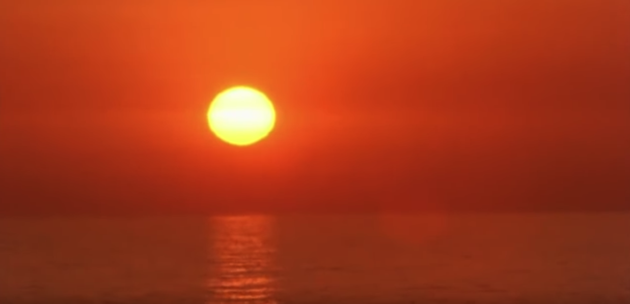 无尽之夏(1965)的剧照 无尽之夏(1965)的剧照